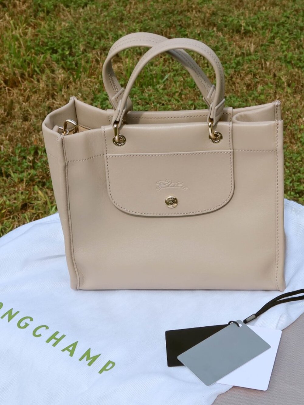 Longchamp Cabas Small Leather Handbag Tote in Clay | Preloved Very Good w Box - Picture 2 of 15